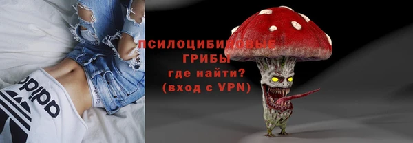 молекула духа Бородино
