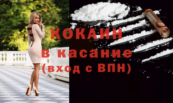 молекула духа Бородино