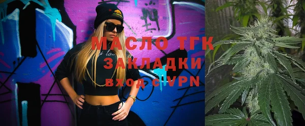 молекула духа Бородино