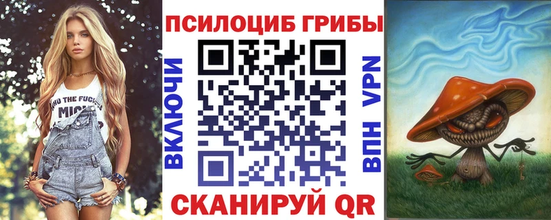 Галлюциногенные грибы Psilocybine cubensis Камбарка