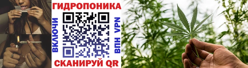 мега сайт Камбарка Бошки марихуана White Widow продажа наркотиков